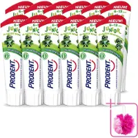 Prodent 12 x – Tandpasta Glazuurbeschermer – Kids 6+ – 75 ml - Bulkverpakking - Glazuurbeschermende tandpasta - Douchemop - Kindertandpasta