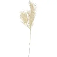 PT Living Kunstplant Asparagus Fern Stem White