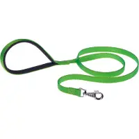 Ferplast Hondenlijn Daytona 120 X 1,5 Cm Nylon Groen