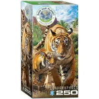 Eurographics Tiger
