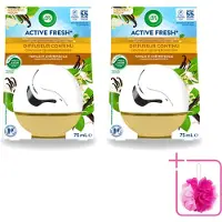 Air Wick 2 x Decosphere - Luchtverfrisser - Vanille & Kamperfoelie - 75ml - Bulkverpakking - Luchtverfrisser - Douchemop - Geur