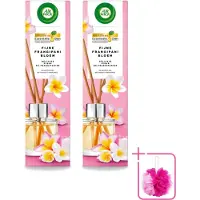 Air Wick 2 x - Geurstokjes - Delicate Frangipani Bloemen - Essentiële Oliën - 40 ml - Bulkverpakking - Geurstokjes - Douchemop - Frangipani