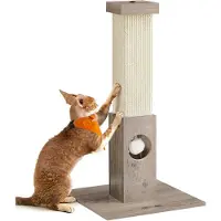 Usorteret Krabpaal, kattenboom, krabpaal van natuurlijk sisaltouw, 73 cm hoog, met pluche speelbal, krasbescherming voor meubels, PCA021G01