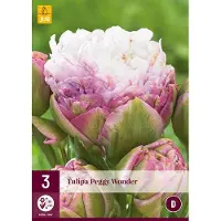 JUB Tulipa peggy wonder , 3 bollen