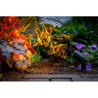Garden Lights Grondspot Met Steker Neso Zwart 7 X 3,8 X 22 Cm