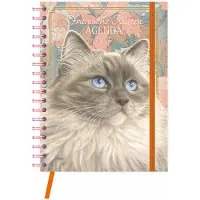 Comello Franciens Katten Bureau Agenda 2027 Blue