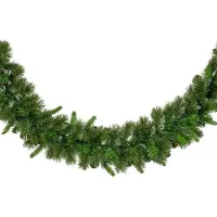 Everlands Edmonton spruce d25l270h13cm groen