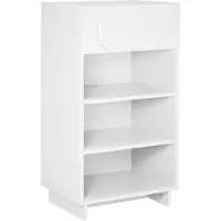vidaXL schoenenkast 48 x 38 x 87,5 cm bewerkt hout Wit