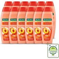Palmolive 12 x - Naturals - 2in1 Shampoo - Perzik - Hydra Balance - 350 ml - Grootverpakking - Vaatwasstrips - 2 In 1 Shampoo - Haar Reinigen - Haar Hydrateren - Perzik Extract - Haar Verzorgen