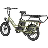 Fafrees 20 inch elektrische fiets met kinderzitjes – E-fiets – E-Bakfiets24Ah accu – maximaal 200kg draagvermogen – max 25km/u – tot 140km – voor gezinsuitjes en dagelijkse boodschappen –Groen