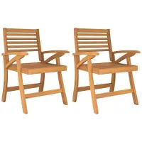 vidaXL Tuinstoelen, 2 stuks, 58x58x87 cm, massief acaciahout