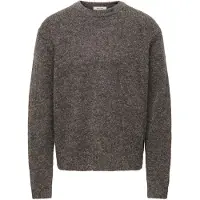 Only & Sons - ONSHALE LS RLX CREW KNIT NOOS Heren Trui