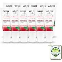 Weleda 12 x - Tandvleesbalsem - 30 ml - Grootverpakking - Vaatwasstrips - Tandvleesbalsem - Tandvlees Verzachten - Tandvlees Versterken - Tandvleesproblemen - Natuurlijke Tandzorg