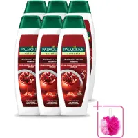 Palmolive 6 x Naturals - Shampoo - Brilliant Color - Voor Gekleurd Haar - 350 ml - Bulkverpakking - Gekleurd haar - Douchemop - Haarkleur behouden
