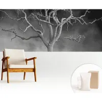 Wallfluent Fotobehang - Zwart-Wit Vliesbehang - 250x104 cm - Mistige Boom Fotobehang Vlies - Hal behang Bloemen En Planten - Muurschildering - Woonkamer behang
