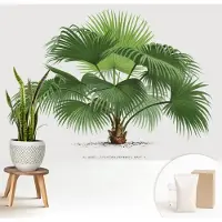 Wallfluent Fotobehang - Groente Vliesbehang - 208x146 cm - Exotische Palmboom Fotobehang Vlies - Hal behang Bloemen En Planten - Muurschildering - Woonkamer behang