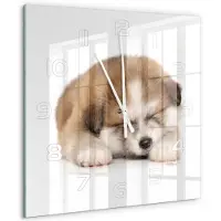 Tulup Wandklok - Akita-puppy Wandklok Glas Decoratie - 60x60 cm - Oranje Gekleurde Glazen Klok - Witte handen - Vierkante Klok - Klok Glas Met Opdruk - Moderne Wandklok Glas