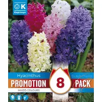 Kapiteyn Hyacintenmix - Hyacinthus Mixed Colours - gemengde kleuren - 8 bollen