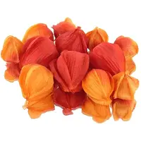 Dpi Lampionplant Physalis Vruchten Oranje Ø 3 tot 5 cm - Kunstbloemen