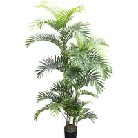 Noach Outdoor Areca palm - 160 cm