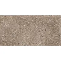 Sphinx Tegel 60 x 120 cm - Brown - Keramiek - Rechthoekig - 2 stuks - 1,44 m2 - Terrazzo - Wandtegels - Tegels - TB3040