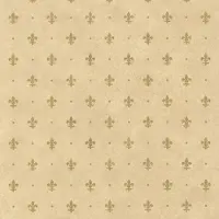 2lif Lily Zelfklevende Folie Mini rol goud 45cmx2mtr