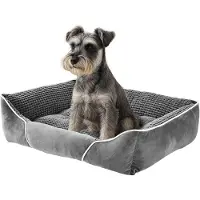 Merkloos Solidchoice - Orthopedisch Hondenbed - Verhoogde Randen - 51 x 48 cm
