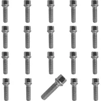 Tracer 20 wielbouten M14x1,5, 40mm, met kogelslot R13, zilverkleurig, geschikt voor Skoda Enyaq iV, Enyaq iV 4x4, Enyaq iV Coupe 4x4, Fabia I, Fabia I Combi, Fabia I Praktik