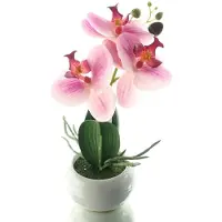 Gasper Orchidee Lila in Ronde Pot 23 cm - Kunstbloemen