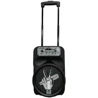 Toy Planet Karaoke The Voice 2 Bt-microfoons