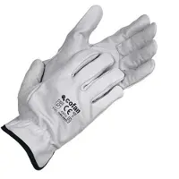 Cofan 11000091-blister Werkhandschoenen 12 Eenheden