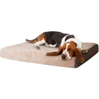 Merkloos Elzusha - Geheugen Foam Hondenbed met Verwijderbare Padding, Medium, Beige