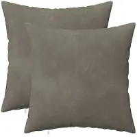 vidaXL Kussensloop 2 pcs HEERLEN Lichtgrijs 40 x 40 cm Fluweel