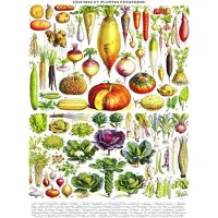 New York Puzzle Company puzzel, groente, vintage illustratie, 1000 stukjes