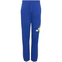 Adidas Big Logo French Terry Joggers