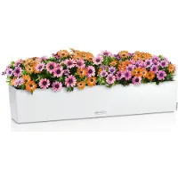 Lechuza BALCONERA Color 100 - Plantenbak - met uitneembare binnenbak - met bewateringssysteem - ALL-IN-ONE set met -PON - wit