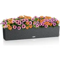 Lechuza BALCONERA Cottage 100 - Plantenbak - met uitneembare binnenbak - met bewateringssysteem - ALL-IN-ONE set met -PON - graniet
