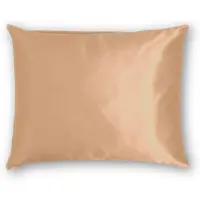 Silk Heaven Zijden Kussensloop Desert Nude - 22MM - - 60x60cm / Hotelsluiting