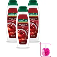Palmolive 3 x Naturals - Shampoo - Brilliant Color - Voor Gekleurd Haar - 350 ml - Bulkverpakking - Gekleurd haar - Douchemop - Haarkleur behouden