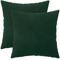 vidaXL Kussensloop 2 st HEERLEN Donkergroen 30 x 30 cm fluweel