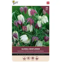 Buzzy Bloembollen Kievitsbloem (Fritillaria meleagris) 25st