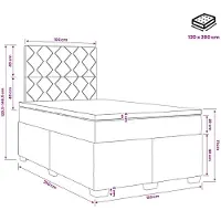 vidaXL Boxspringbed met matras en hoofdeinde, blauw, 120 x 200 cm, fluweel