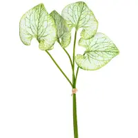 Louis Maes Caladium bundel h40 cm groen/wit kunstbloemen