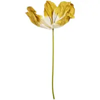 Light & Living - Kunstplant LOEK - Geel - 32x32x120 cm