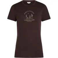 Icebreaker Shirt bruin / cappuccino