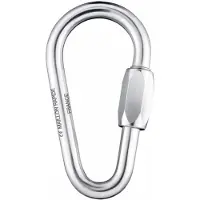 BEAL Maillon Pear Galva Karabijnhaak Zilver 10 mm