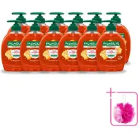 Palmolive 12 x – Handzeep – Hygiëne Plus Family – 300 ml - Bulkverpakking - Handzeep - Douchemop - Hygiëne