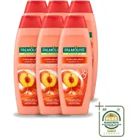 Palmolive 6 x - Naturals - 2in1 Shampoo - Perzik - Hydra Balance - 350 ml - 2 In 1 Shampoo - Haar Reinigen - Haar Hydrateren - Perzik Extract - Haar Verzorgen