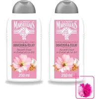 Le Petit Marseillais 2 x – Shampoo – Amande Douce & Graines de Lin Bio – 250 ml - Bulkverpakking - Shampoo Amande Douce - Douchemop - Shampoo Linzaad