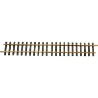 Lgb G rails L10600 Rechte rails 600 mm 1 stuk(s)